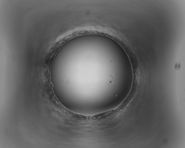 X0000111211494200907011431