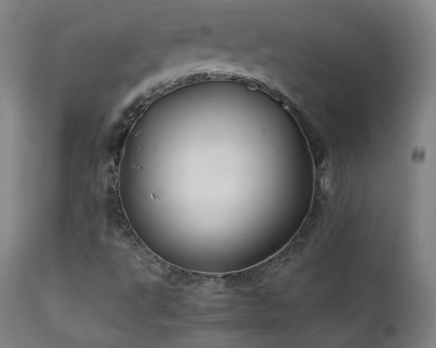 X0000111211495200907011431