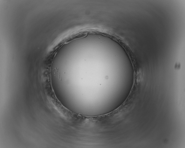 X0000111211496200907011431