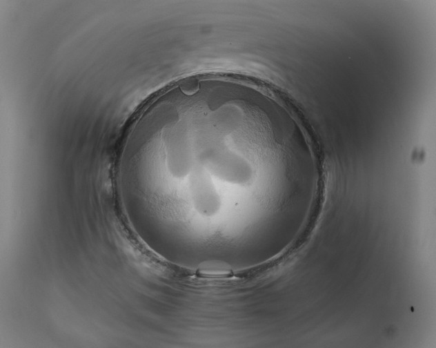 X0000111211497200907011431