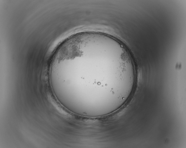 X0000111211498200907011431