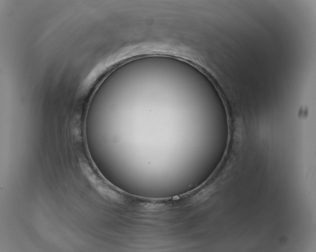 X0000111211499200907011431