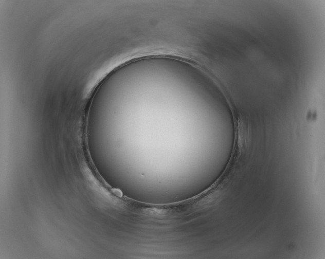 X0000111211500200907011431