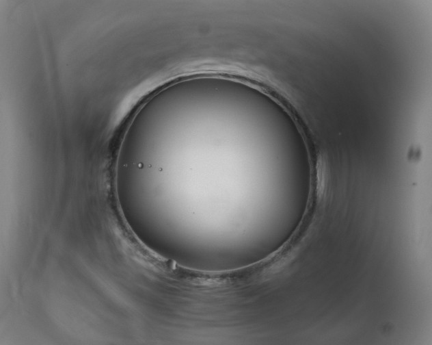 X0000111211501200907011431