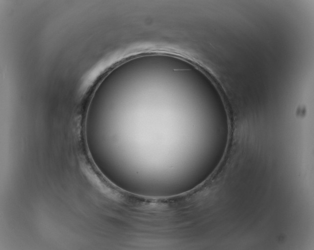 X0000111211503200907011431