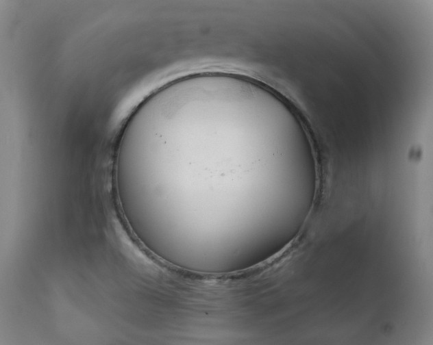 X0000111211504200907011431