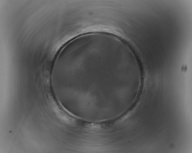 X0000111211505200907011431