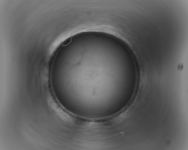 X0000111211506200907011431