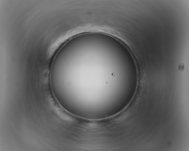 X0000111211507200907011431