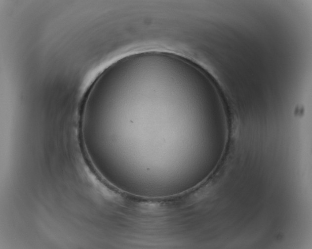 X0000111211508200907011431