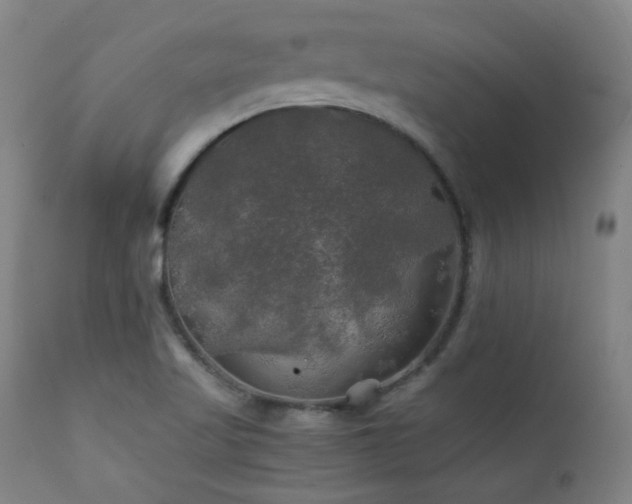 X0000111211509200907011431