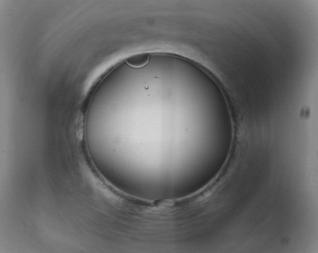 X0000111211510200907011431