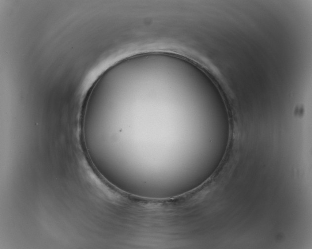 X0000111211512200907011431