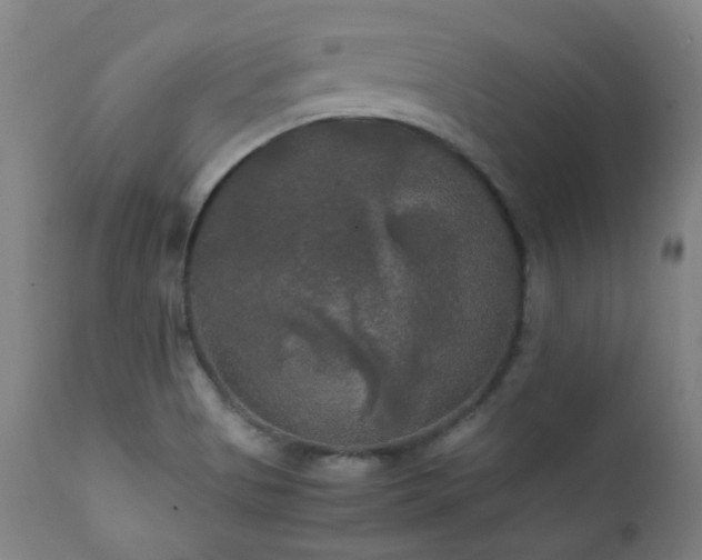 X0000111211513200907011431