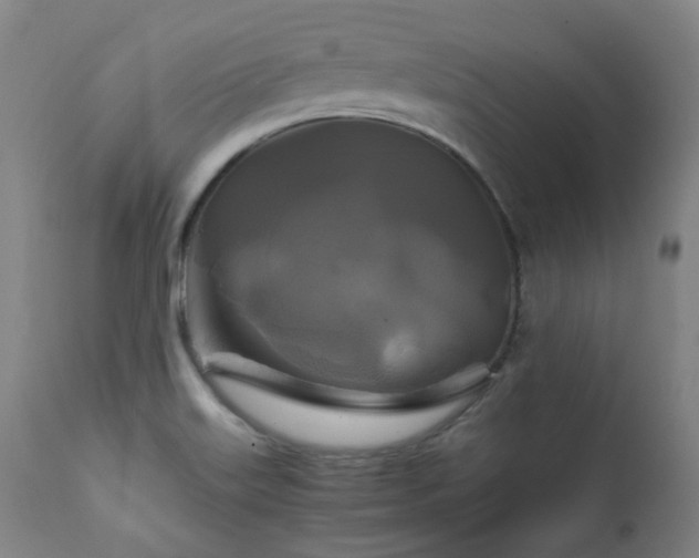 X0000111211515200907011431