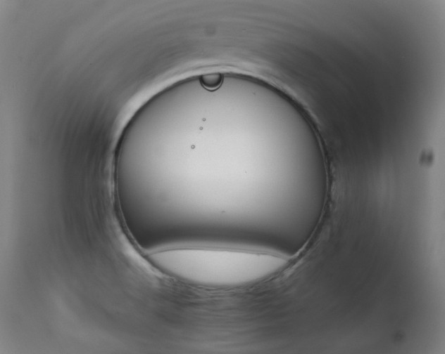 X0000111211516200907011431