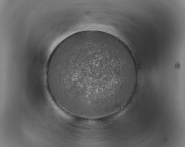 X0000111211517200907011431