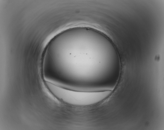 X0000111211518200907011431