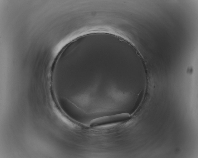 X0000111211519200907011431