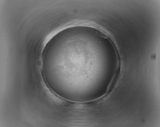 X0000111211520200907011431