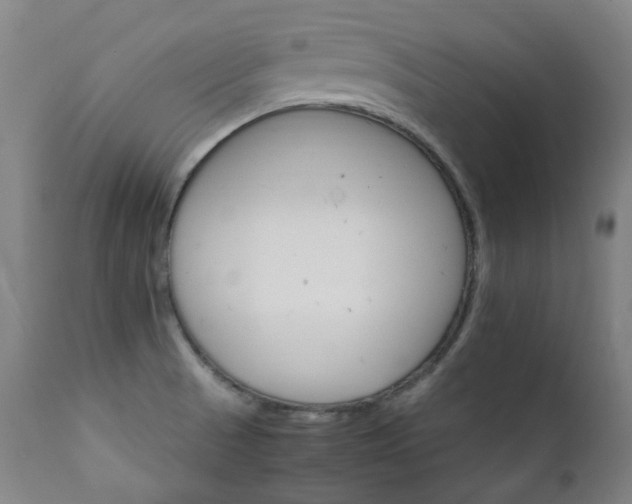 X0000111211521200907011431