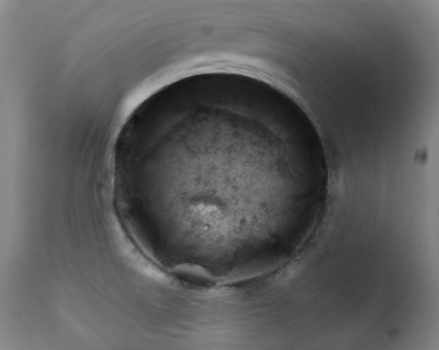 X0000111211522200907011431