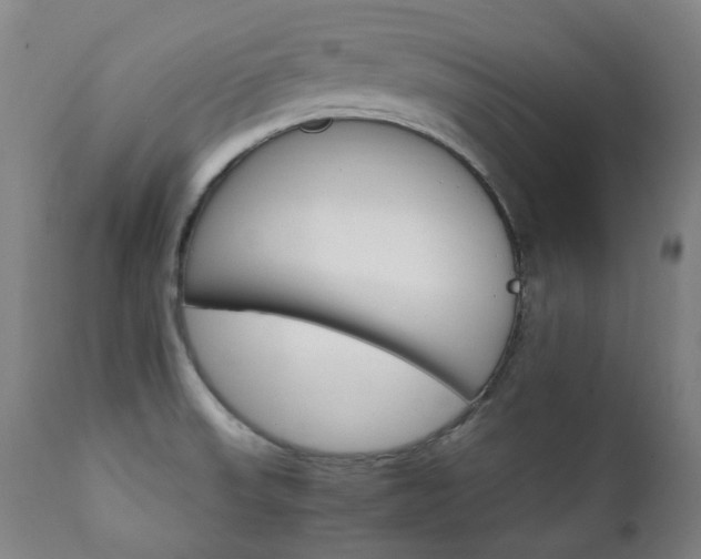 X0000111211523200907011431