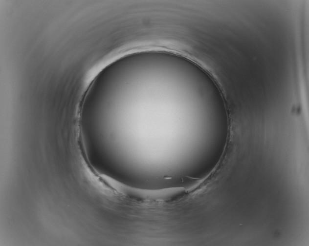 X0000111211524200907011431