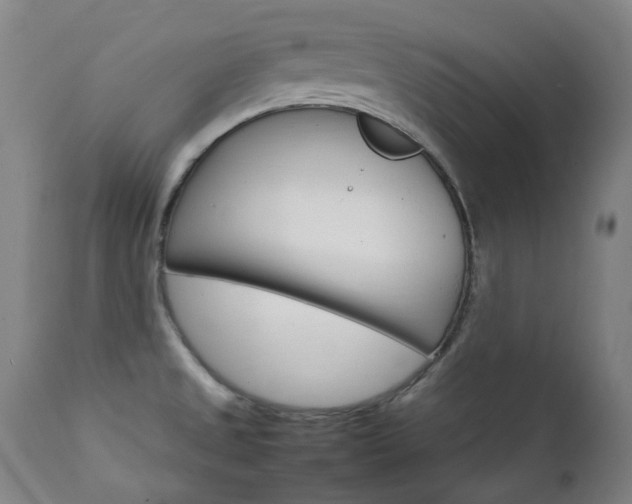 X0000111211525200907011431