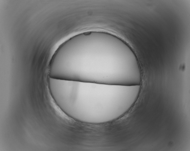 X0000111211526200907011431