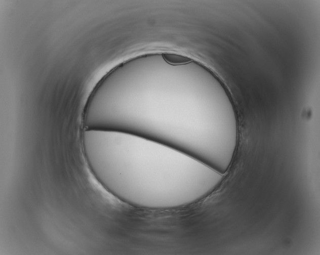 X0000111211527200907011431