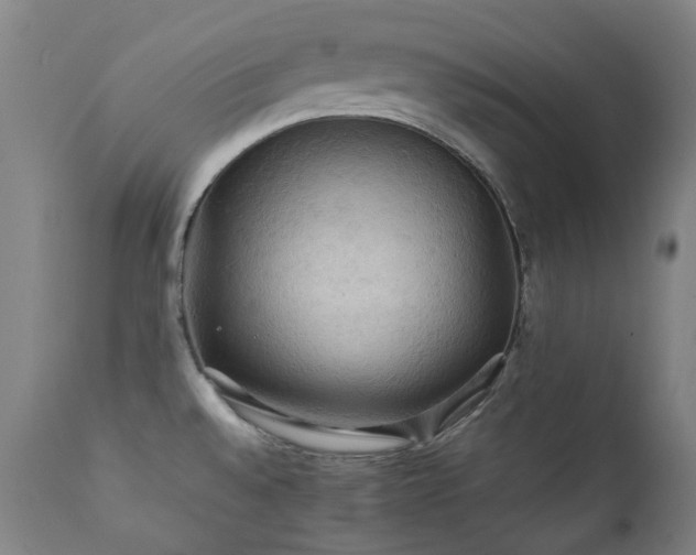 X0000111211528200907011431