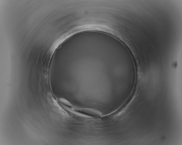 X0000111211529200907011431