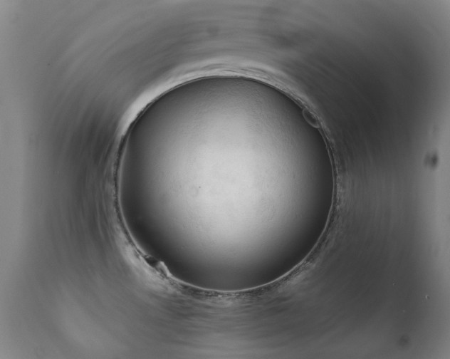 X0000111211530200907011431