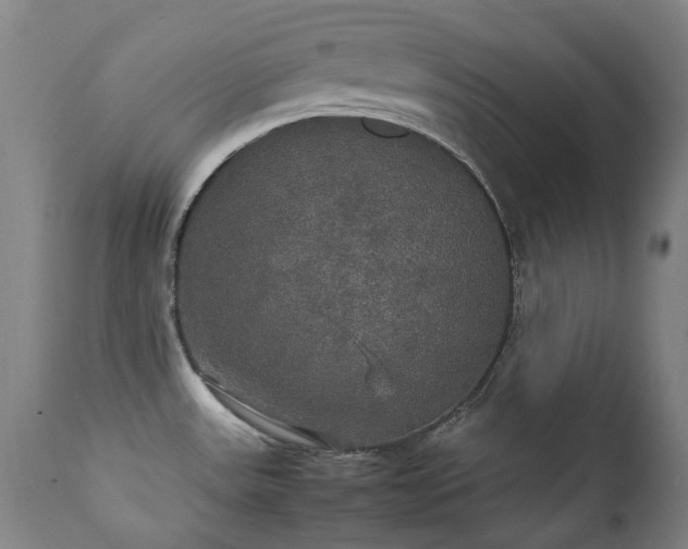 X0000111211531200907011431