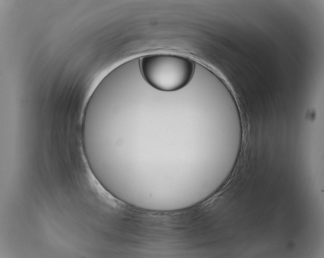 X0000111211532200907011431