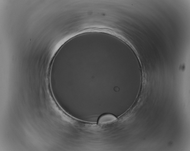 X0000111211533200907011431