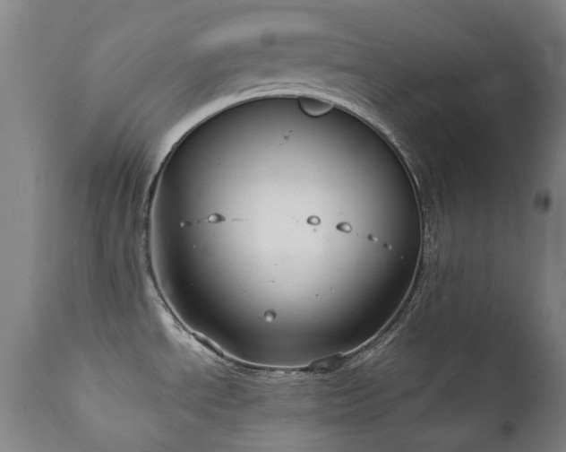 X0000111211534200907011431