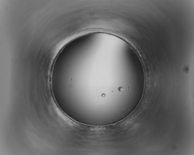 X0000111211535200907011431