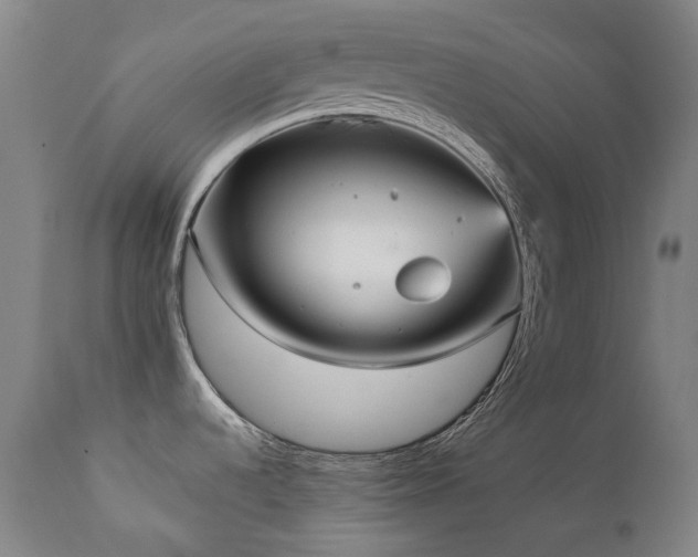 X0000111211536200907011431