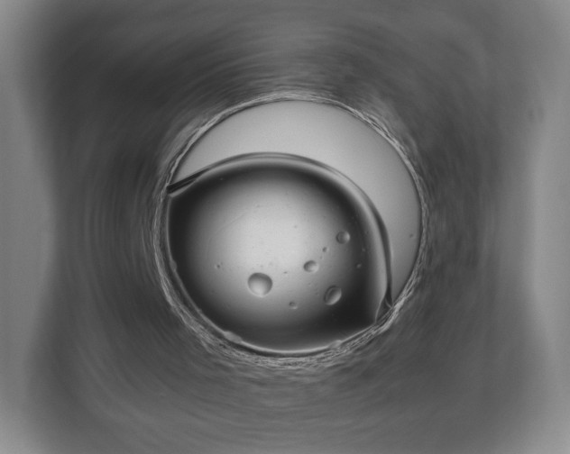 X0000111210001200907081311