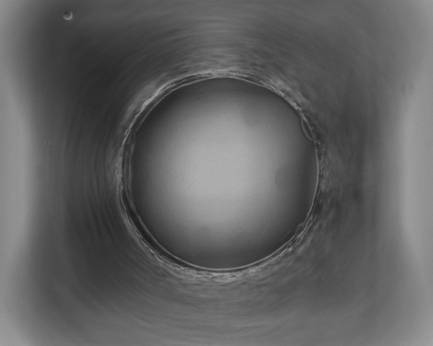 X0000111210002200907081311