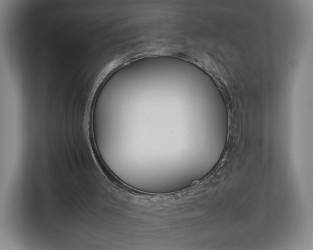 X0000111210003200907081311