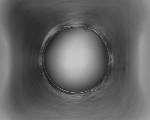 X0000111210004200907081311