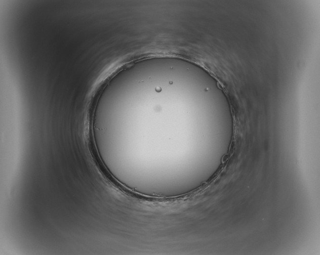 X0000111210005200907081311