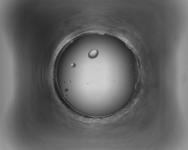 X0000111210007200907081311