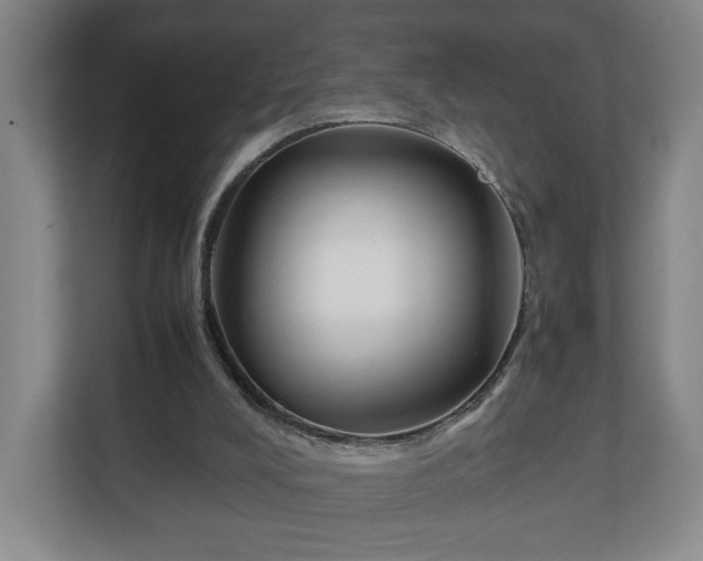 X0000111210008200907081311