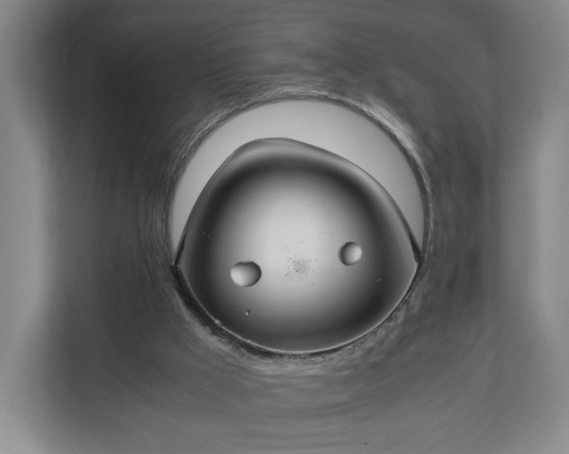 X0000111210009200907081311