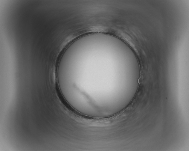 X0000111210011200907081311