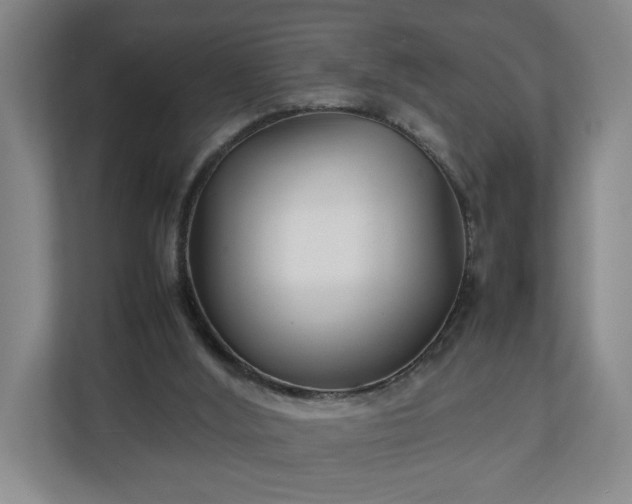 X0000111210012200907081311